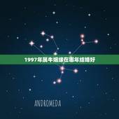 1997年属牛姻缘在哪年结婚好，97年男属牛和93年女属鸡结婚日期哪时