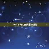 2023年马人在安康的运势