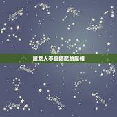 属龙人不宜婚配的属相，属龙的和什么属相最配 属龙人的婚配表