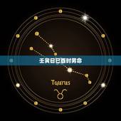 壬寅日已酉时男命