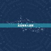 五五年羊人运势，属羊人五年运势