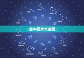 金牛图片大全图，金牛座星象图