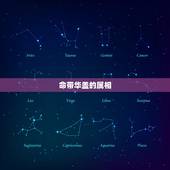 命带华盖的属相，自带华盖的属相