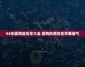 94年属狗起名字大全 属狗的男孩名字要霸气