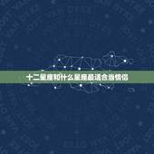 十二星座和什么星座最适合当情侣，十二星座和谁最配对