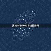 属猪25岁2023年运势好吗，2023壬寅年丁火运势