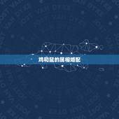 鸡和鼠的属相婚配，属鸡和属鼠的合的来吗？