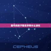 属牛的孩子取名字有什么讲究，属牛宝宝起名宜用的字有哪些