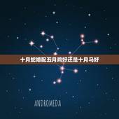 十月蛇婚配五月鸡好还是十月马好，农历5月的狗和10月的蛇男人合婚吗