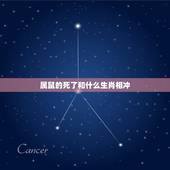 属鼠的死了和什么生肖相冲(介绍属相相冲的情况)