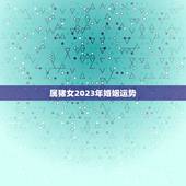 属猪女2023年婚姻运势，属猪的人2023年多大了 今年肖猪人运势好不