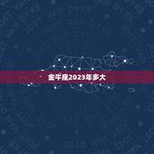 金牛座2023年多大，福特金牛座2023海外版