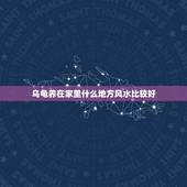 乌龟养在家里什么地方风水比较好，养乌龟有哪些禁忌，放房间里的什么位置最