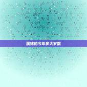 属猪的今年多大岁数啊(猪年运势大介绍)