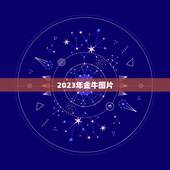 2023年金牛图片，为什么2023金牛百年难遇？