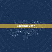 天秤水瓶哪个双子，水瓶女和天秤女终极pk