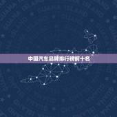 中国汽车品牌排行榜前十名，中国电动汽车品牌排行榜前十名