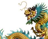 龙年绿色环保，你将扮演怎样的角色？