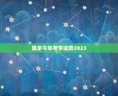 属羊今年考学运势2023