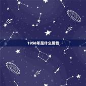 1956年是什么属性