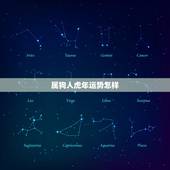 属狗人虎年运势怎样，属狗虎年运势2023年