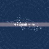 牛年运程测算2023宋，宋韶光2023年十二生肖运程