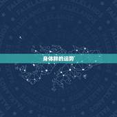 身体胖的运势，为啥身体很脸很胖