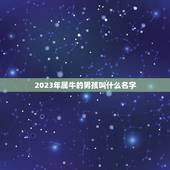 2023年属牛的男孩叫什么名字，给宝宝取名字2023年属牛男孩名字姓陈