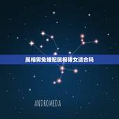 属相男兔婚配属相猪女适合吗，属相婚配：男属猪和女属猪相配吗