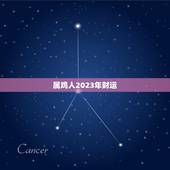 属鸡人2023年财运(如何在正确的方向上获得成功)