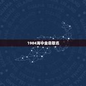 1984海中金命取名，我是海中金命名字带什么好啊