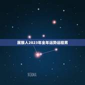 属猴人2023年全年运势运程男(幸运星高照财运亨通)