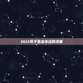 2023双子座全年运势详解，双子座2023年运势