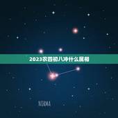2023农四初八冲什么属相，2023年躲星生肖对照表