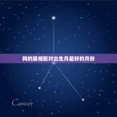 狗的属相配对出生月最好的月份，男属狗的属相婚配表 属狗的几月出生好