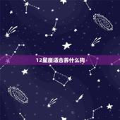 12星座适合养什么狗，12星座适合养的动物