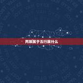 丙辰属于五行属什么，丙辰年属于五行属什么