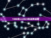 1988年人2023年运势运程