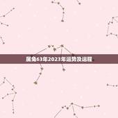 属兔63年2023年运势及运程(如何迎接未来)