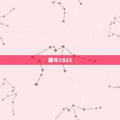 属牛2023.5.17日运势