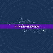 2023年金牛座全年运势，2023年5月金牛座工作运好不好 具体