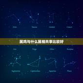 属鸡与什么属相共事比较好，属鸡的和什么属相工作融洽