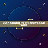 女虎男龙的属相合不合 86年虎和88年龙是断头婚吗