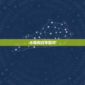 水瓶和白羊配对，水瓶和白羊配对指数