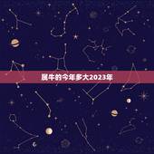 属牛的今年多大2023年，2023年属牛的2023年多大虚岁？