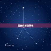 属猪的婚配属相，属猪的女人和什么属相最配