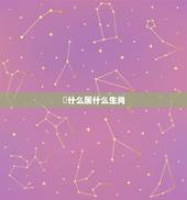 戉什么属什么生肖，2023什么年属什么生肖