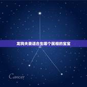龙狗夫妻适合生哪个属相的宝宝，夫妻属龙，生什么属相好