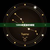 1995年属猪的婚配，1995年属猪和什么属相最好