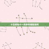 十日虎和十一月的羊婚配如何，属虎和属羊的相配吗 详细？